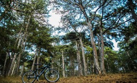 Dağ Bisikletçiliği Denemeleri, Yozgat Çamlığı Milli Parkı